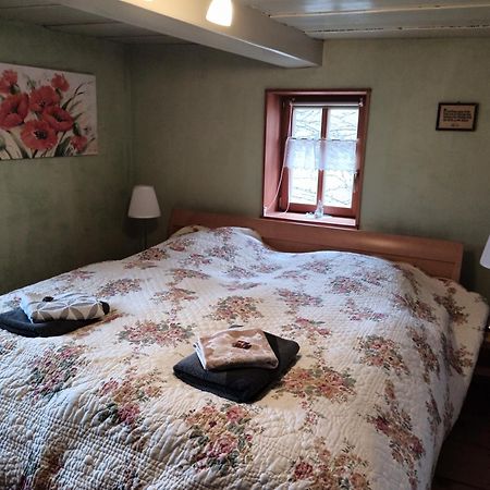 Oekologische Ferienwohnung Becker Kottmar المظهر الخارجي الصورة