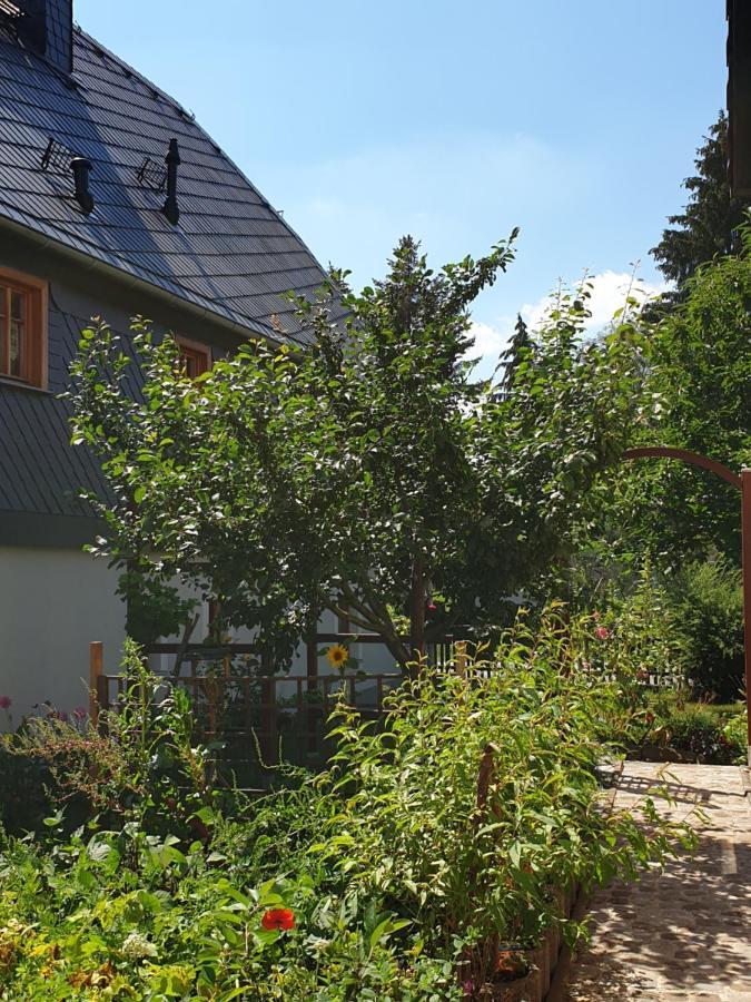 Oekologische Ferienwohnung Becker Kottmar المظهر الخارجي الصورة